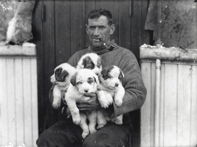 Tom Crean with new born puppies