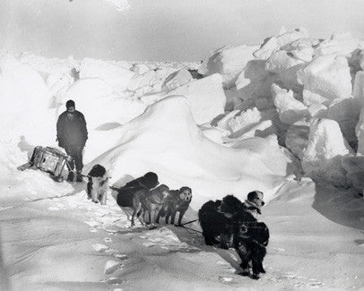 Dog team being exercised over pressure ridge