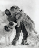 Dr Leonard Hussey lifting Samson, with unnamed dog alongside