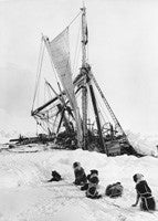 The End - Endurance crushed with dogs looking on