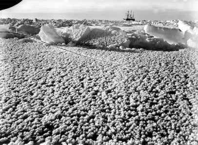 Crystal ice flowers on the surface of the newly frozen ice