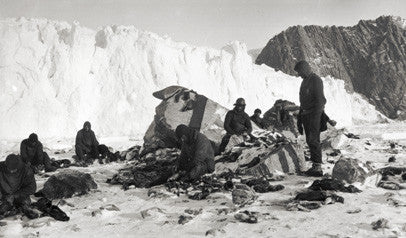 Skinning penguins on Elephant Island
