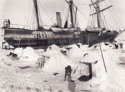 Igloo kennels on the ice (dogloos)