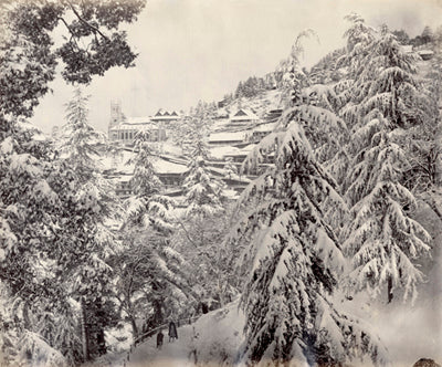 A winter scene