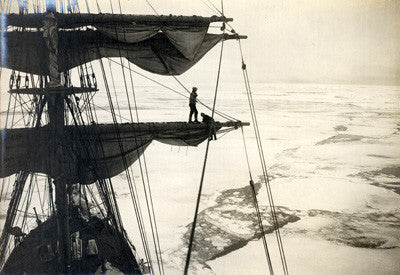 The ice pack from the top of the Terra Nova (Gran and Leese)