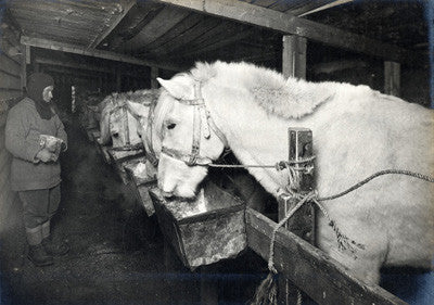 Interior of stable