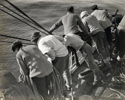 A fish is seen from the deck of the Terra Nova