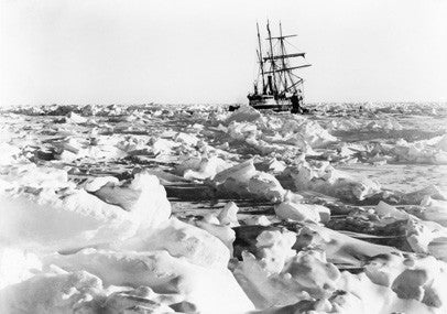 Endurance in the ice