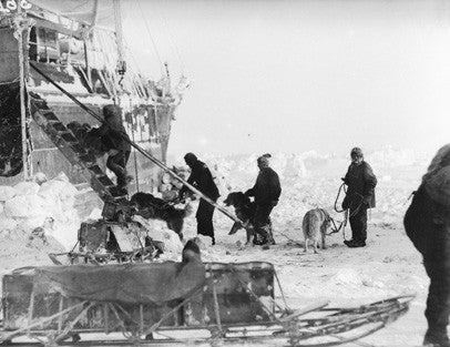 Returning dogs to Endurance after exercise on the ice