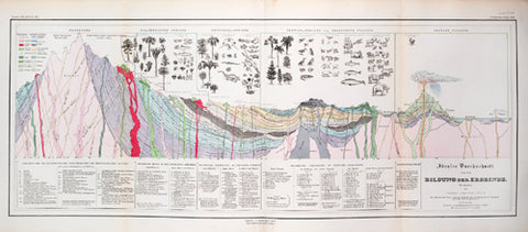 Cross-section of the Earth, showing the processes at work and animals and plants related to each geological era.