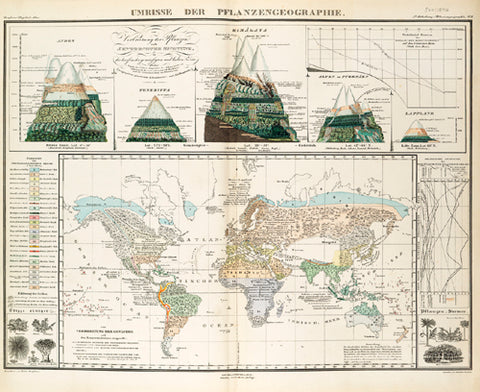 World map of plant distribution, including cross section drawings of mountainous areas