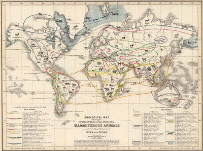 Zoological map