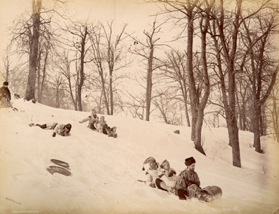Tobogganing in the snow