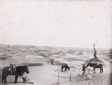 Sinkiang - Dunes and dead vegetation in dried up delta beyond terminal course of Keriya River