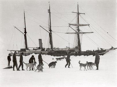 Dogs and men on ice, with Endurance behind