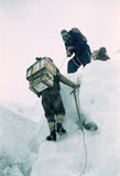 Hillary assisting Sherpas with supply loads in the icefall