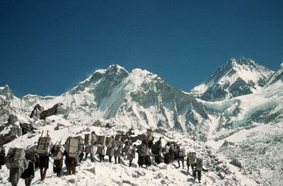 Hillary's Sherpa party loaded with supplies en route for Base Camp