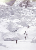 Porters including one carrying a tree trunk approach the icefall