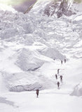 Porters including one carrying a tree trunk approach the icefall