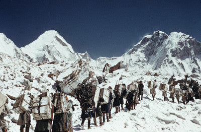 Hillary's Sherpa party loaded with supplies en route for Base Camp