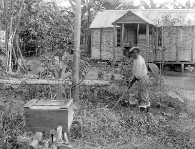 A Jamaican farmer or beekeeper