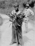 Woman offering an orchid