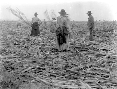 Cane peddlers