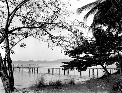 On the sea coast