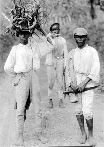 Jamaican boys