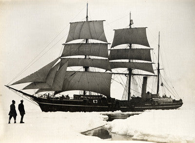 The Terra Nova sailing though the pack