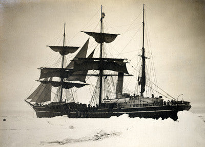 The Terra Nova held up for the time (this expedition) in the ice