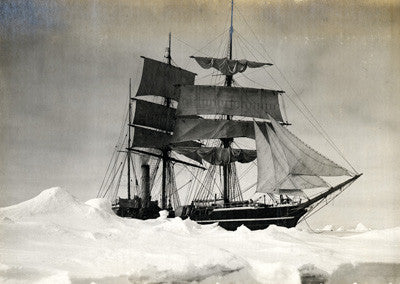 The Terra Nova held up in the pack - ice point in the foreground