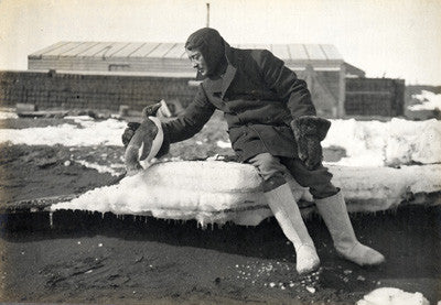 Harry Rennick and a friendly Adelie penguin
