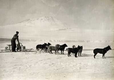 Dimitri Gerof and his dog team