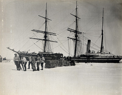 Officers hauling sledges of fodder from the Terra Nova to Cape Evans
