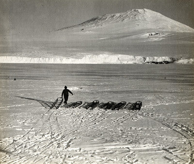 Erebus from the Terra Nova at the ice-foot