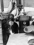 Ernest Shackleton with dog on board ship