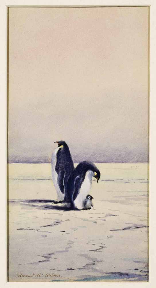 Emperor penguins and their chick
