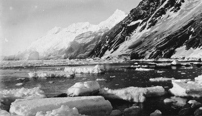 Cape Valentine, Elephant Island