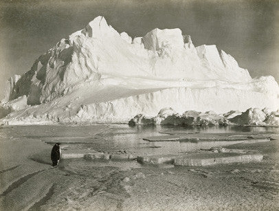 Glacier berg and Emperor penguin
