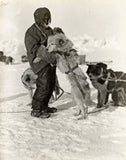 Frank Wild with his dogs