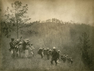 In the great southern pine ridge, British Honduras