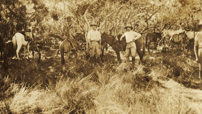 Jack Fawcett and Raleigh Rimmell