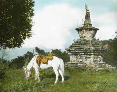 Hillside shrine