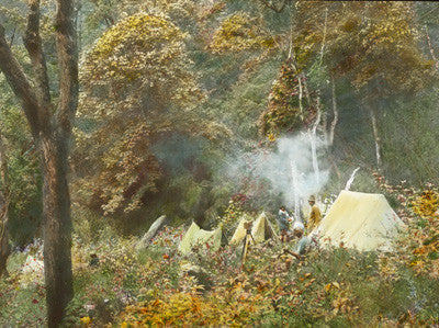 Camp scene amongst the trees