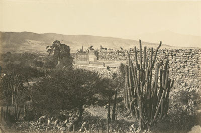 Mexican landscape