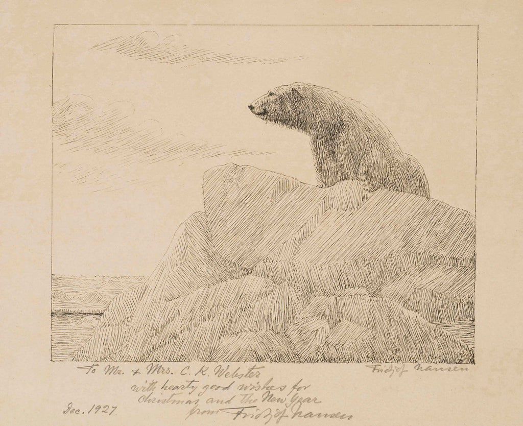 Sketch of a polar bear