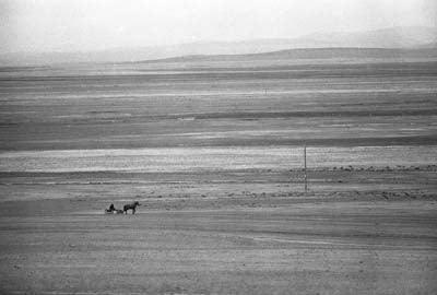 Buryat steppe