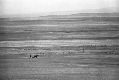 Buryat steppe